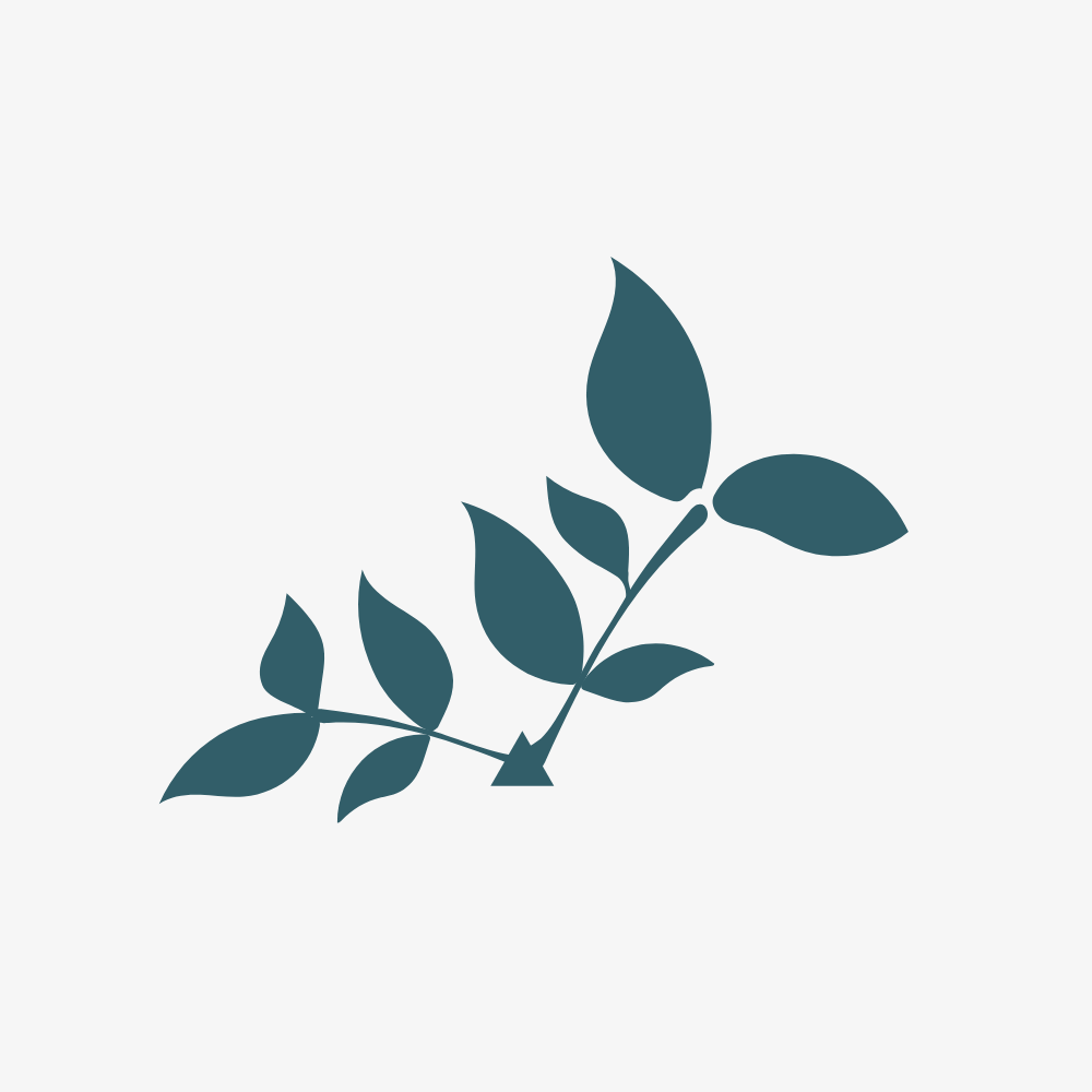 All Loose Leaf Tea