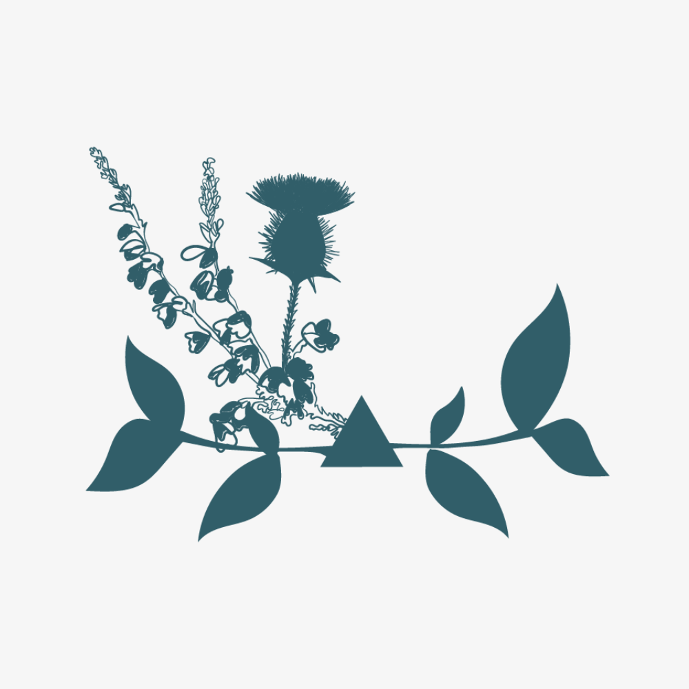 Scottish Inspired Tea