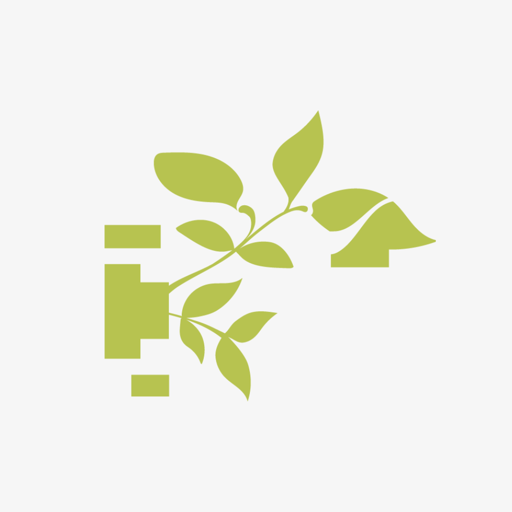 Green Loose Leaf Tea