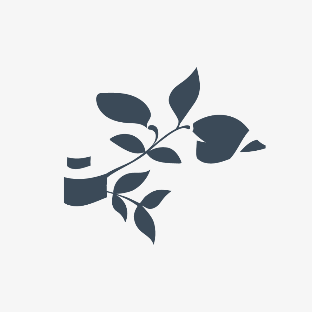 White Loose Leaf Tea