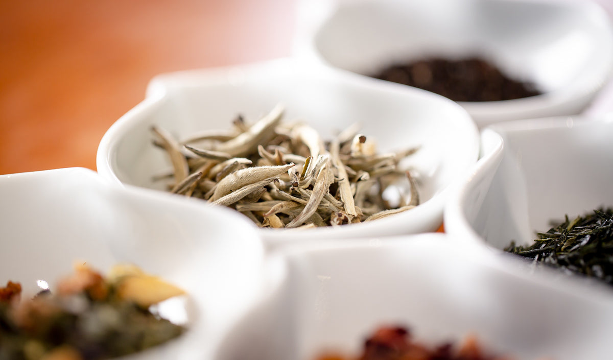 Premium tea including close up of Silver Needle, which features in eteaket's online tea training for wholesale. 